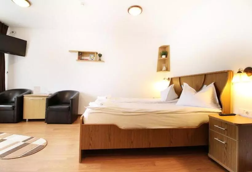 ペンション Casa Micu