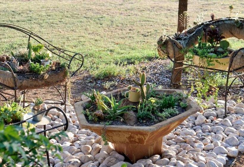 بنسيون Country Park Guest House Muldersdrift