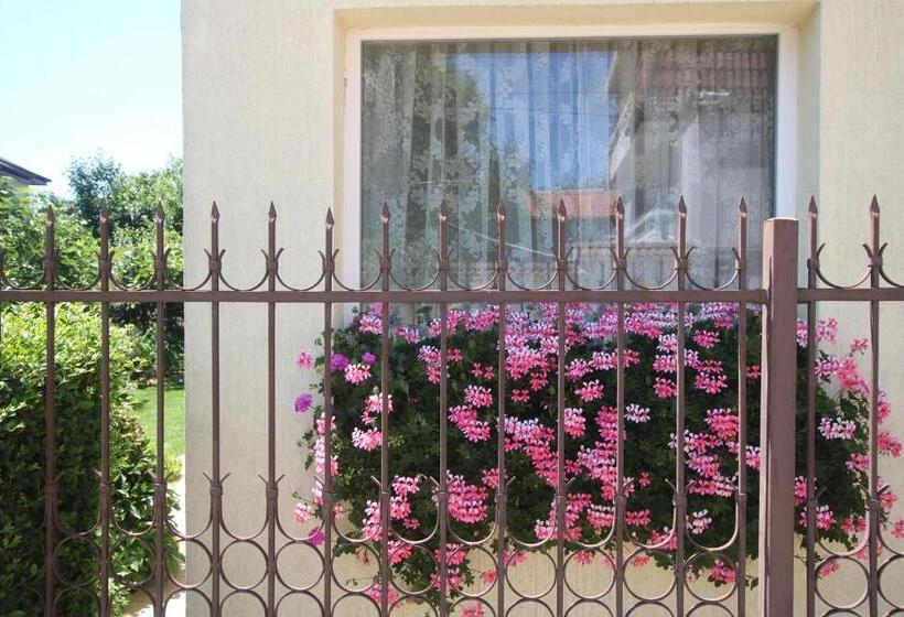 Pensjonat Guest House Kiwi