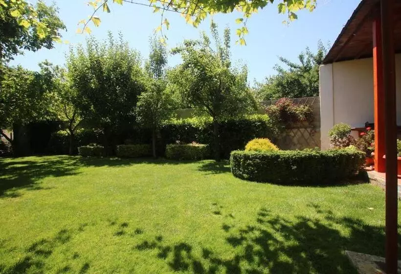 پانسیون Guest House Kiwi