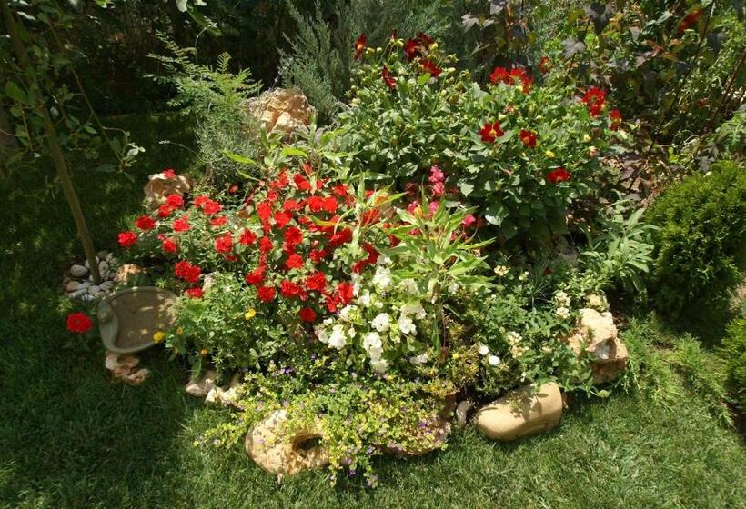 Pensjonat Guest House Kiwi