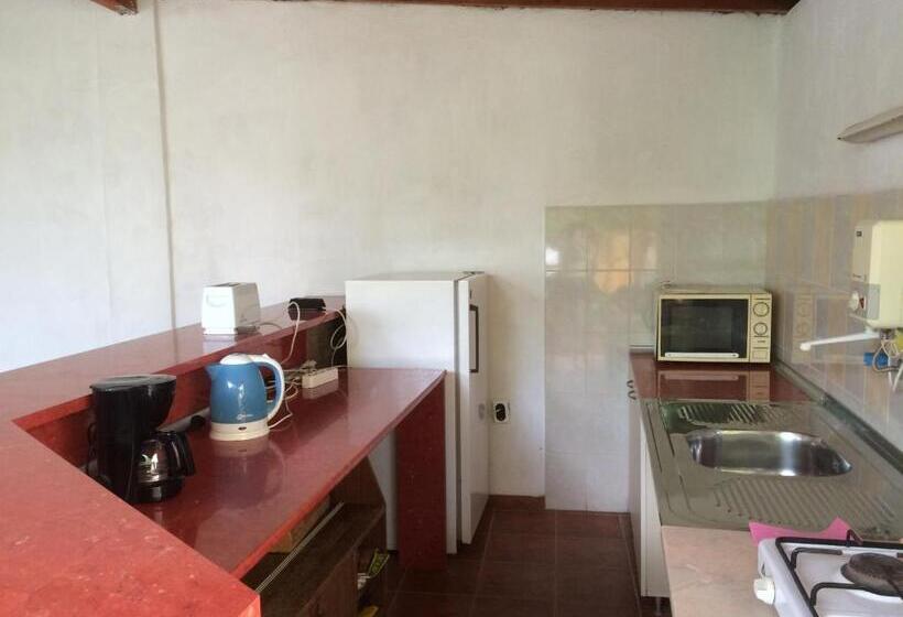 Pensjonat Guest House Kiwi