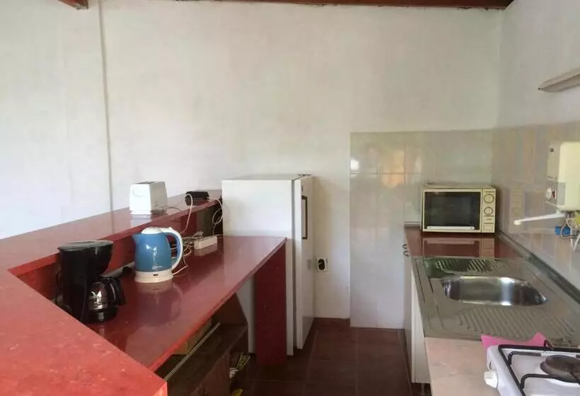 پانسیون Guest House Kiwi