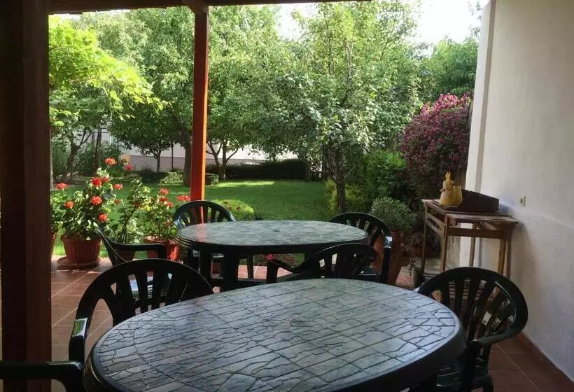 پانسیون Guest House Kiwi