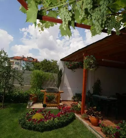 پانسیون Guest House Kiwi