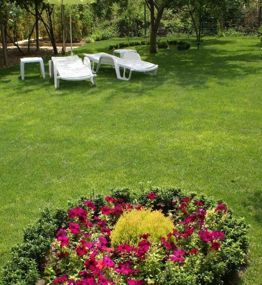 Pensjonat Guest House Kiwi