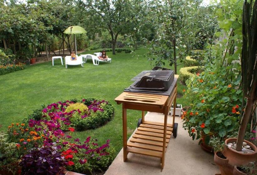 Pensjonat Guest House Kiwi