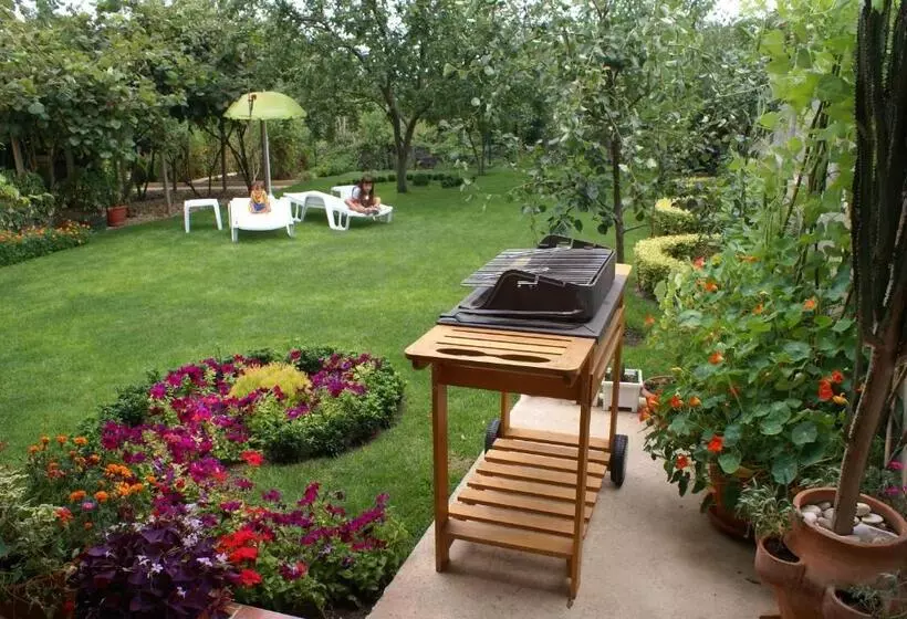 پانسیون Guest House Kiwi