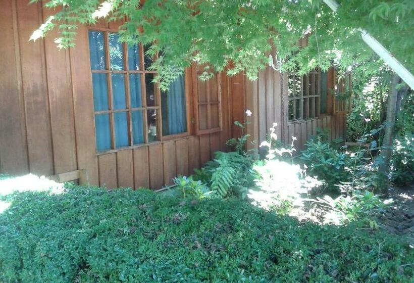 Pension Hostal Kutralwe