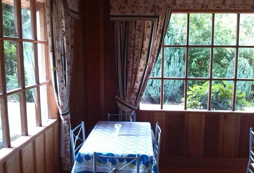 Pension Hostal Kutralwe