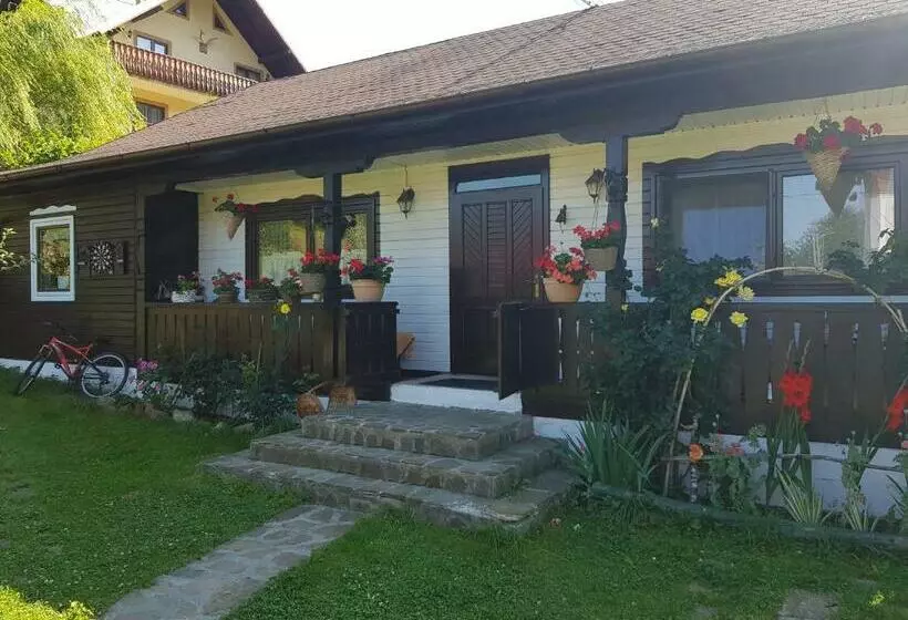 Pensiunea Daria Putna