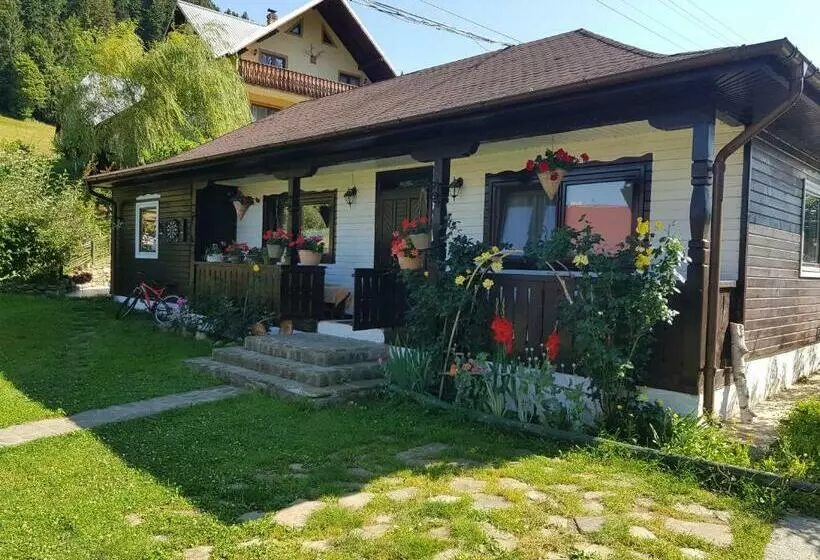 Pensiunea Daria Putna