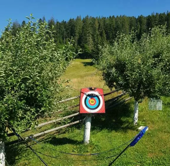 Pensiunea Daria Putna