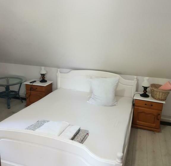 Pensiunea Daria Putna