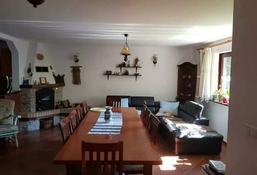 Pensiunea Daria Putna