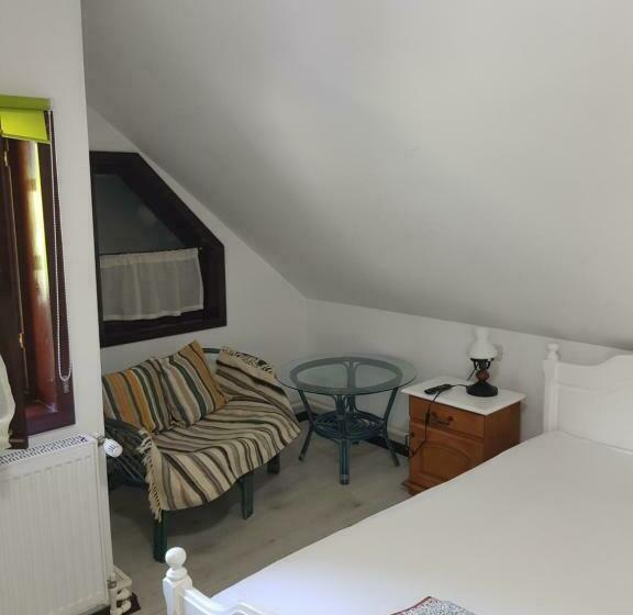 Pensiunea Daria Putna