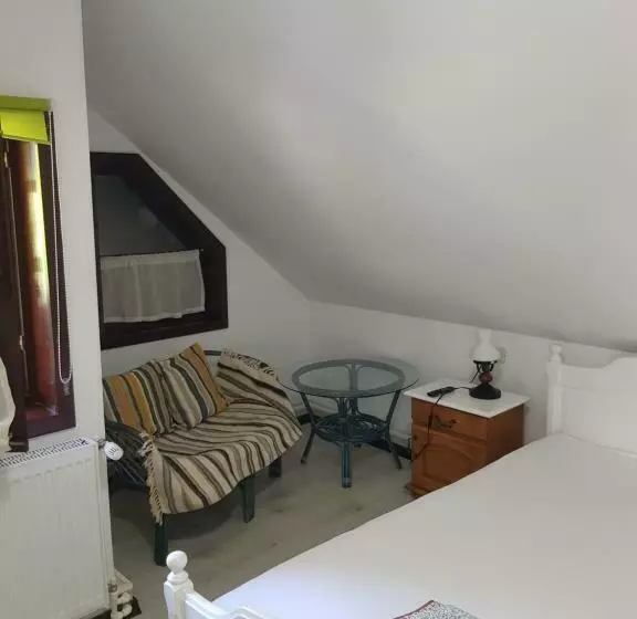 Pensiunea Daria Putna