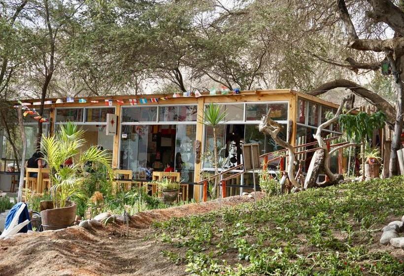 فندق صغير Rochabus