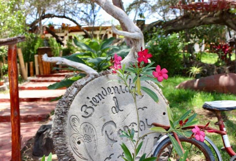 فندق صغير Rochabus