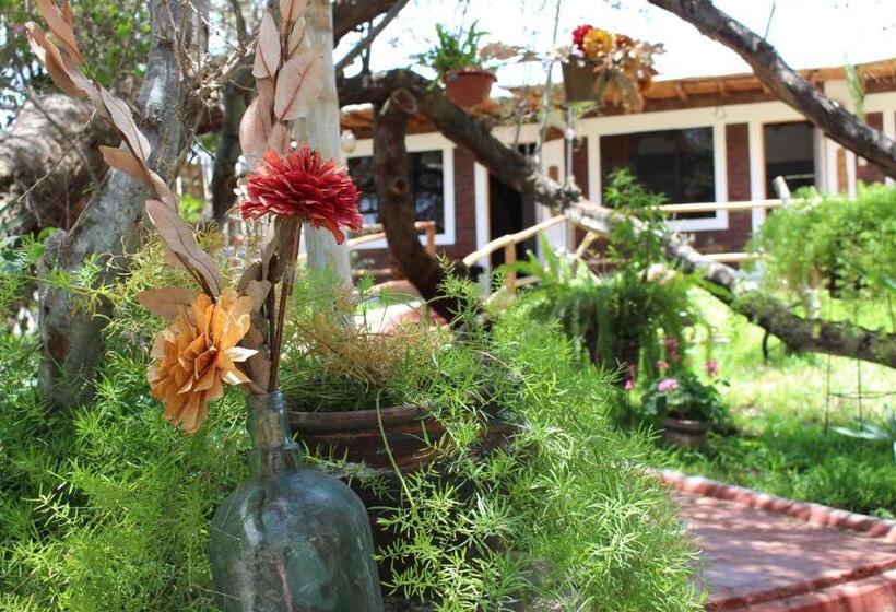 فندق صغير Rochabus