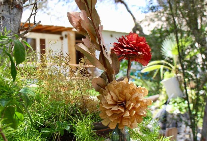 فندق صغير Rochabus