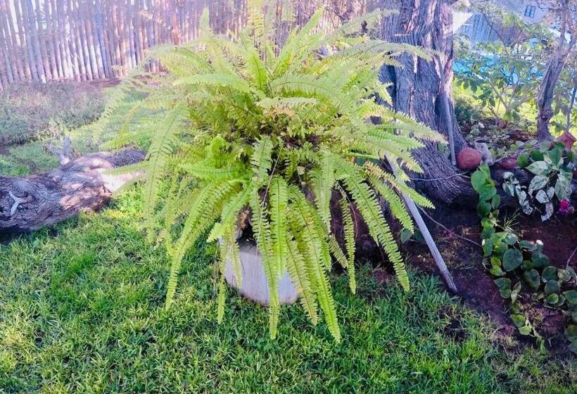 فندق صغير Rochabus