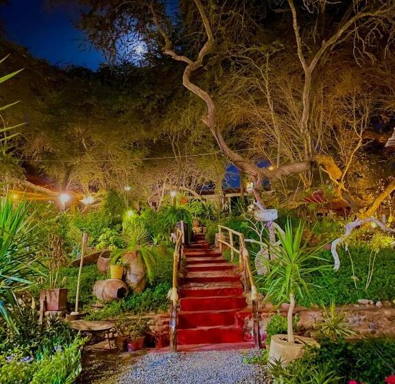 فندق صغير Rochabus