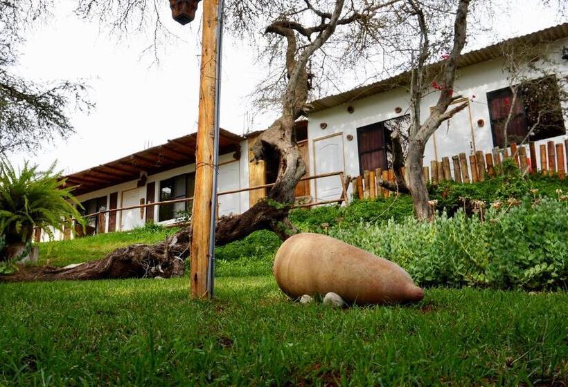 فندق صغير Rochabus