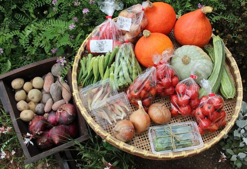 פנסיון Fujikawaguchiko Crescendo