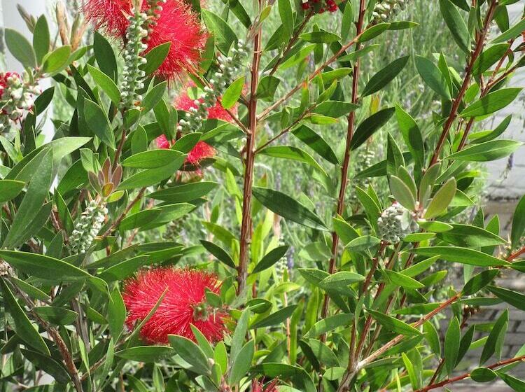 פנסיון Inn2wilderness Guesthouse