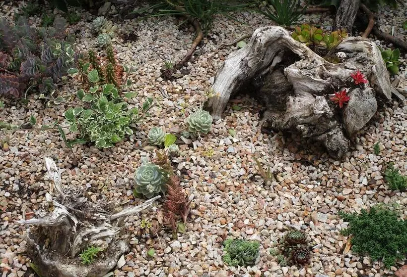 Majatalo Inn2wilderness Guesthouse