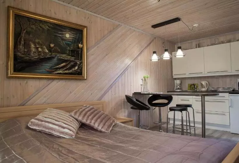 پانسیون Koivula Guest House