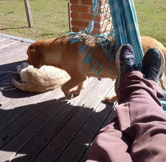 ペンション Pousada Do Pampa