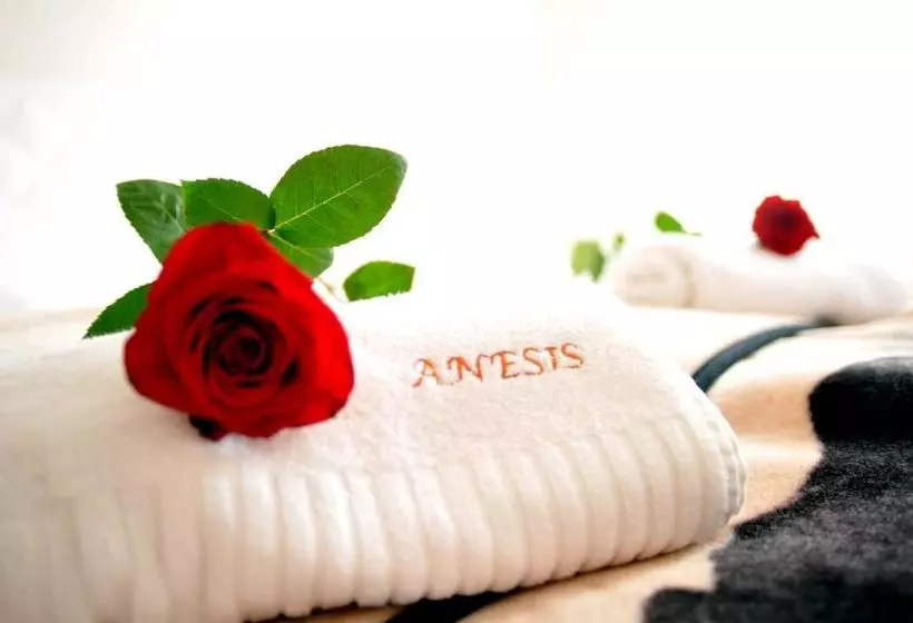 پانسیون Penzion Anesis   štúdiá