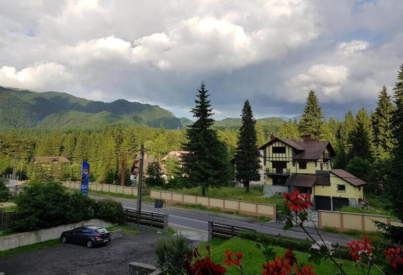 پانسیون Timis Valley, Casa Eni&dan