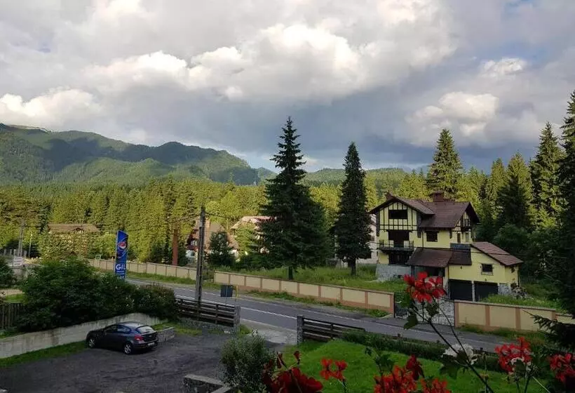 پانسیون Timis Valley, Casa Eni&dan