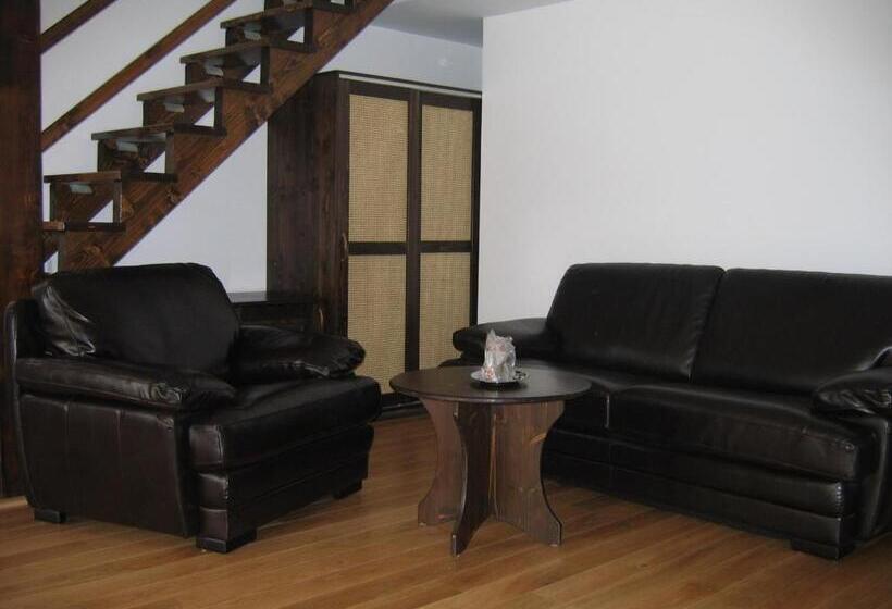 پانسیون Timis Valley, Casa Eni&dan