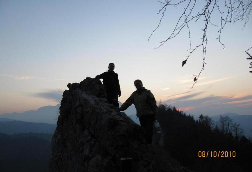 پانسیون Timis Valley, Casa Eni&dan