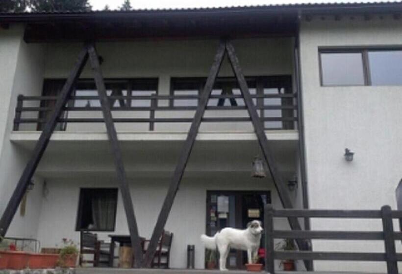 پانسیون Timis Valley, Casa Eni&dan