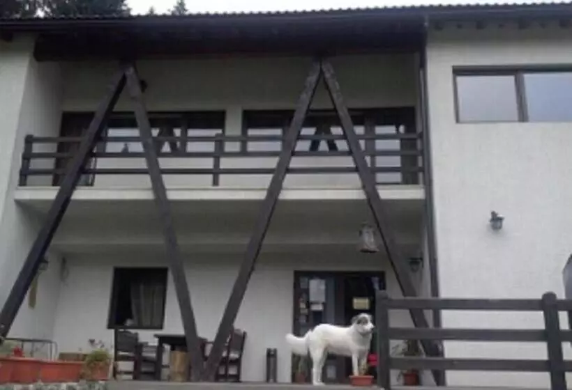 پانسیون Timis Valley, Casa Eni&dan