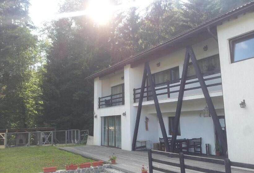 پانسیون Timis Valley, Casa Eni&dan