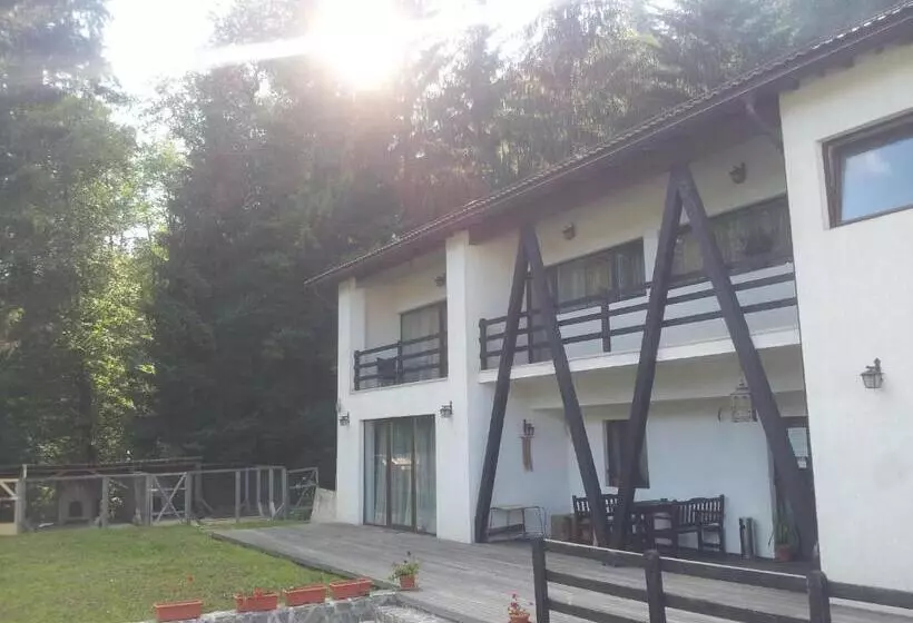 پانسیون Timis Valley, Casa Eni&dan