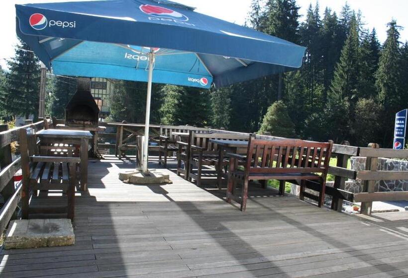 پانسیون Timis Valley, Casa Eni&dan