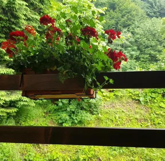 پانسیون Timis Valley, Casa Eni&dan