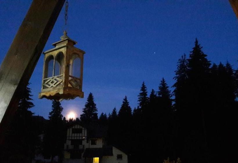 پانسیون Timis Valley, Casa Eni&dan