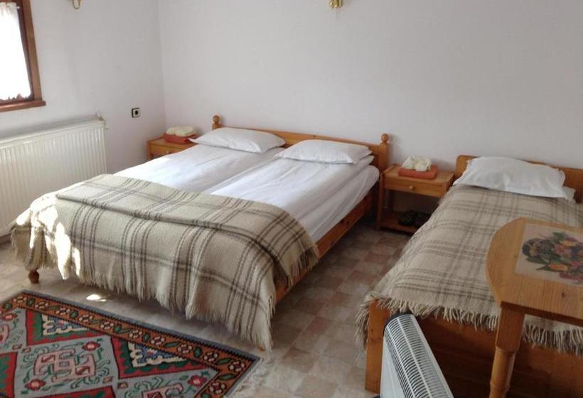 펜션 Vanda Guest House