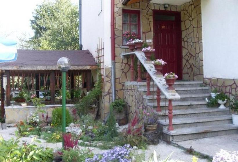 פנסיון Veselata Guest House