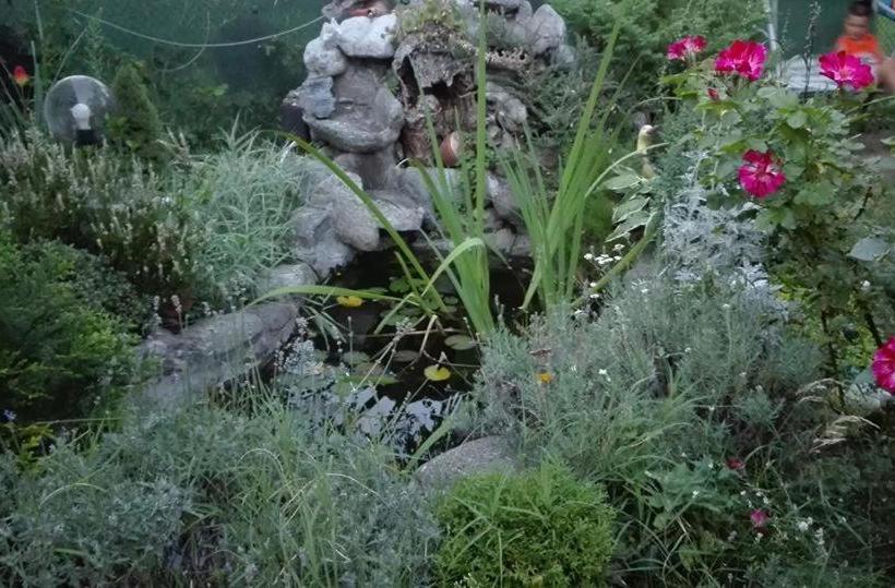 פנסיון Veselata Guest House