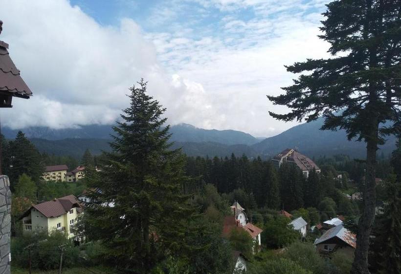 Pensiune Turistica Milcov Vladet