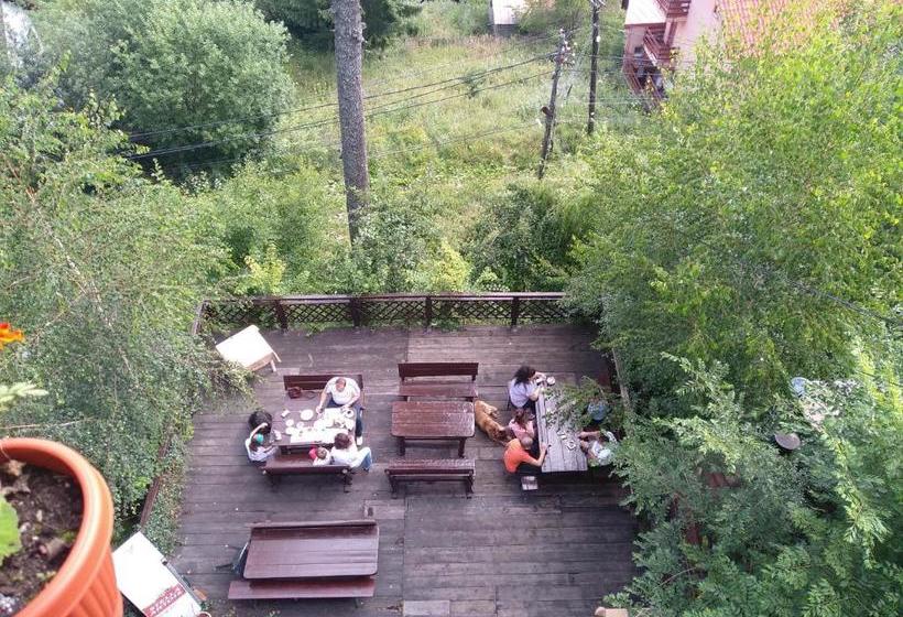 Pensiune Turistica Milcov Vladet